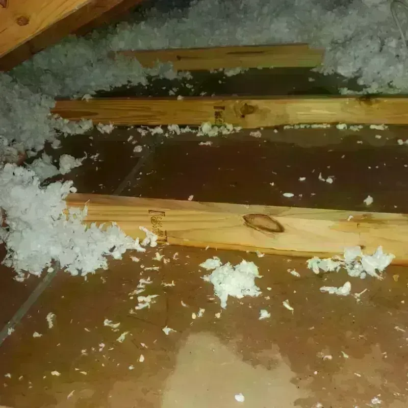 Attic Water Damage in Andrews County, TX